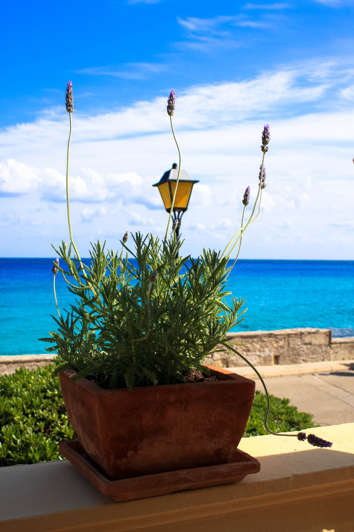 Impressionen auf Mallorca