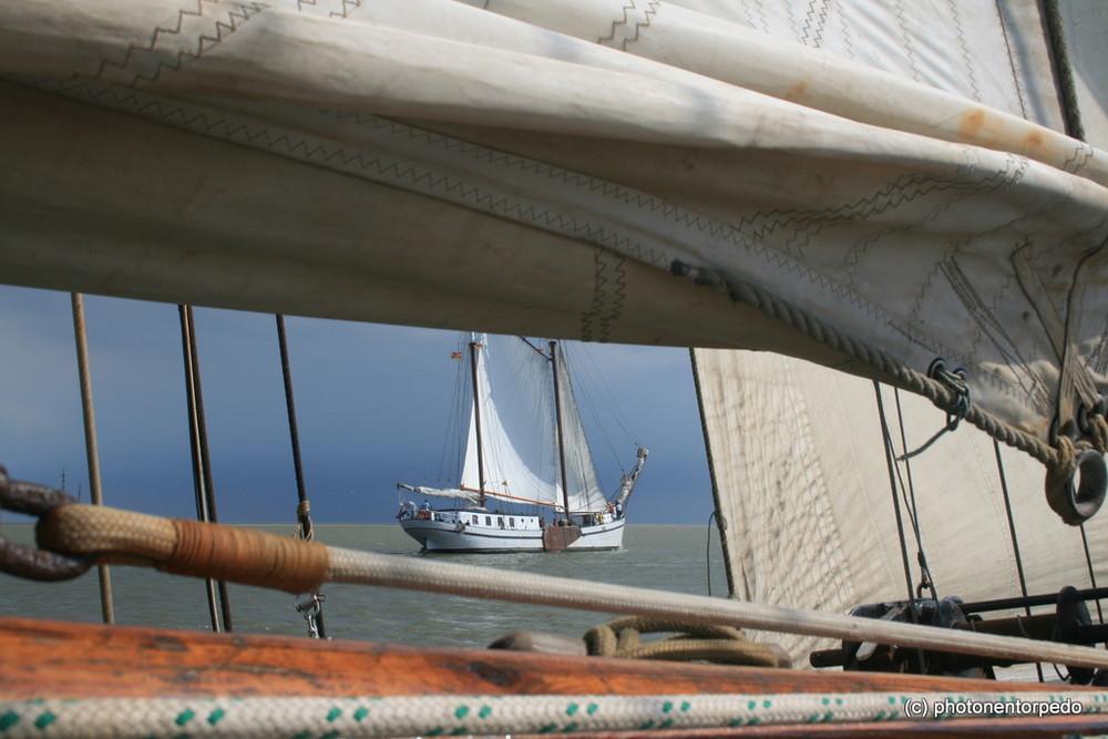 Impressionen auf Plattbodenschiff am Ijsselmeer