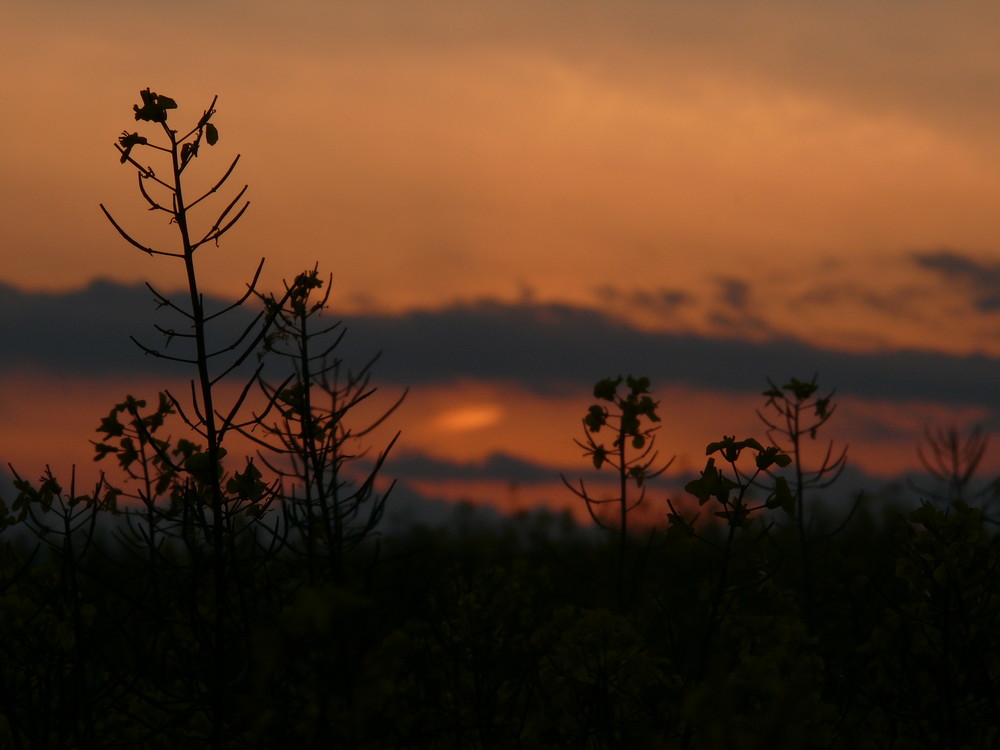 Impressionen aus alter Zeit