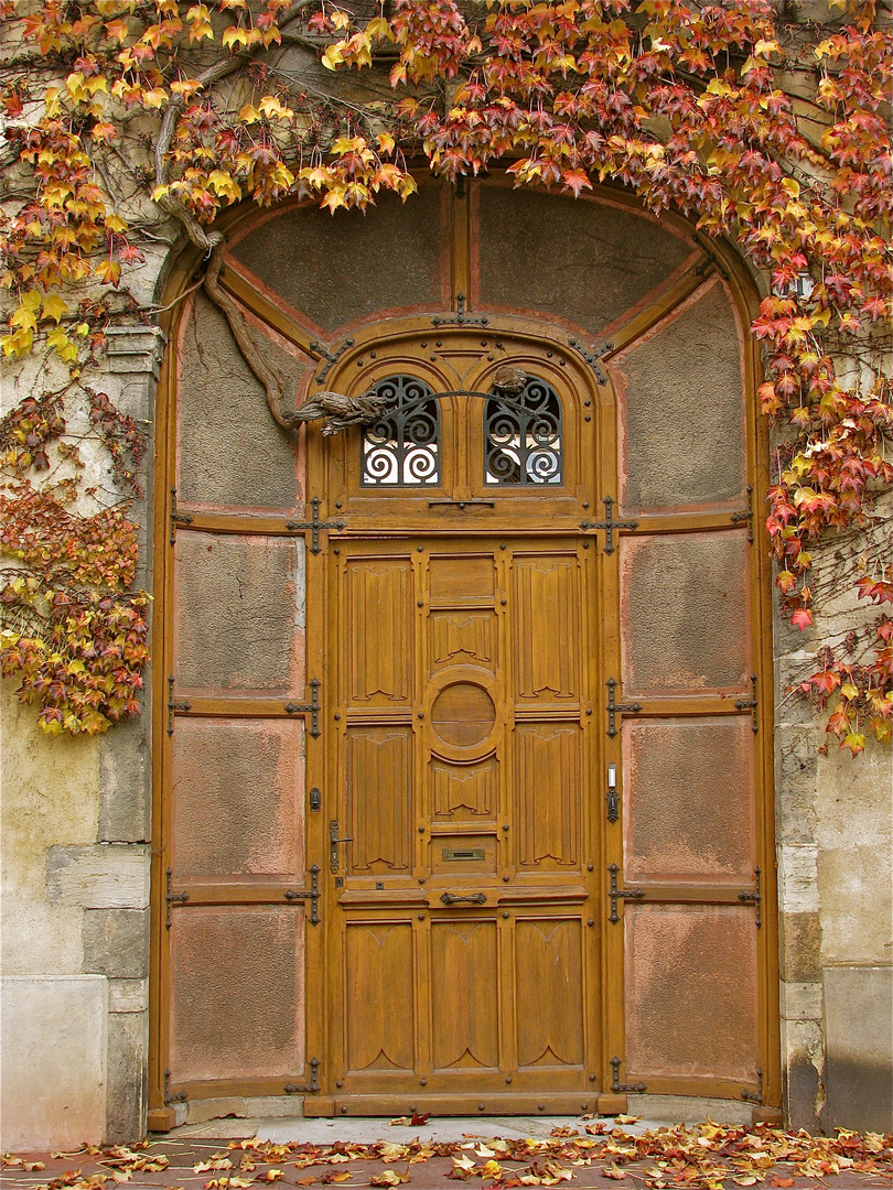 ...IMPRESSIONEN AUS BEAUNE-BOURGOGNE 1..