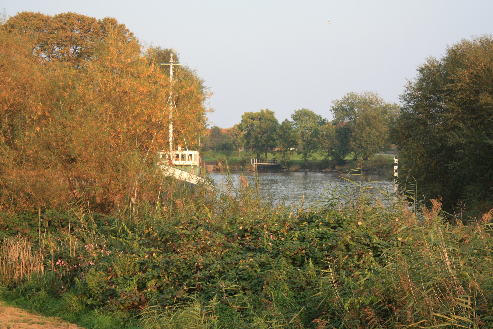 Impressionen aus dem Alten Land VI