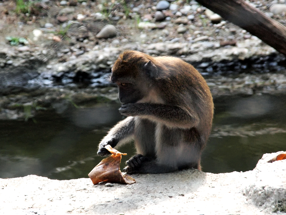 Impressionen aus dem Basler Zoo-5