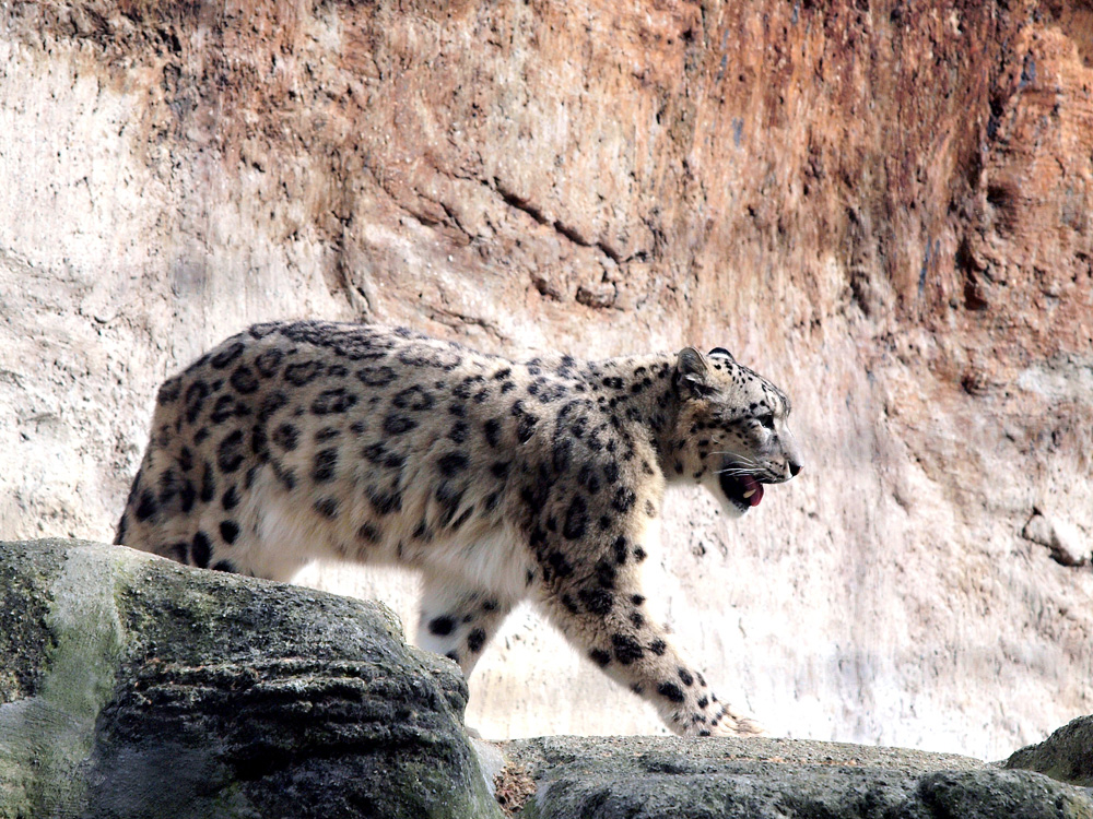 Impressionen aus dem Basler Zoo