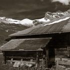 Impressionen aus dem Berner Oberland -3-