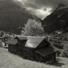 Impressionen aus dem Berner Oberland -9-