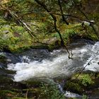 Impressionen aus dem Bodetal