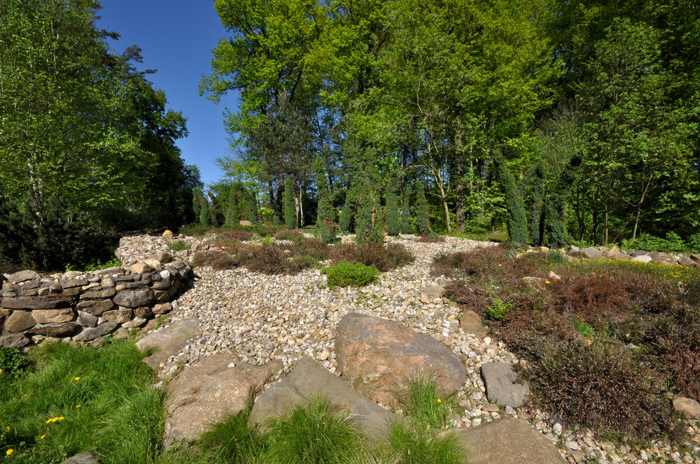 Impressionen aus dem Botanischen Garten Chemnitz