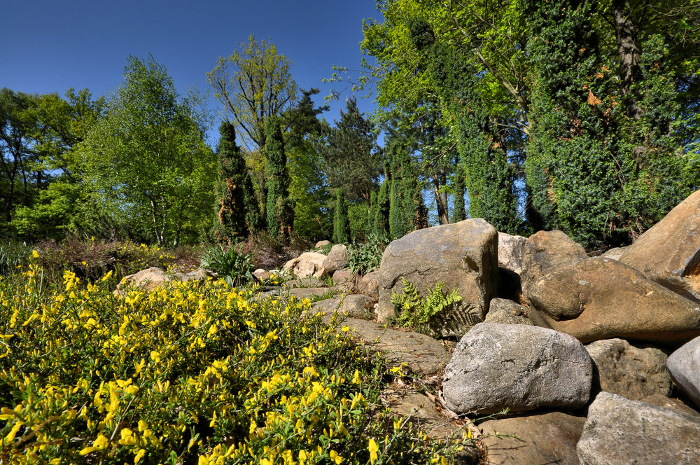 Impressionen aus dem Botanischen Garten Chemnitz