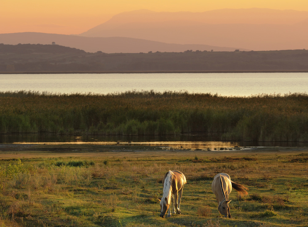 Impressionen aus dem Burgenland