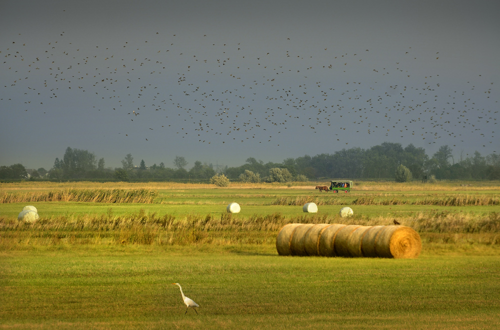 Impressionen aus dem Burgenland3