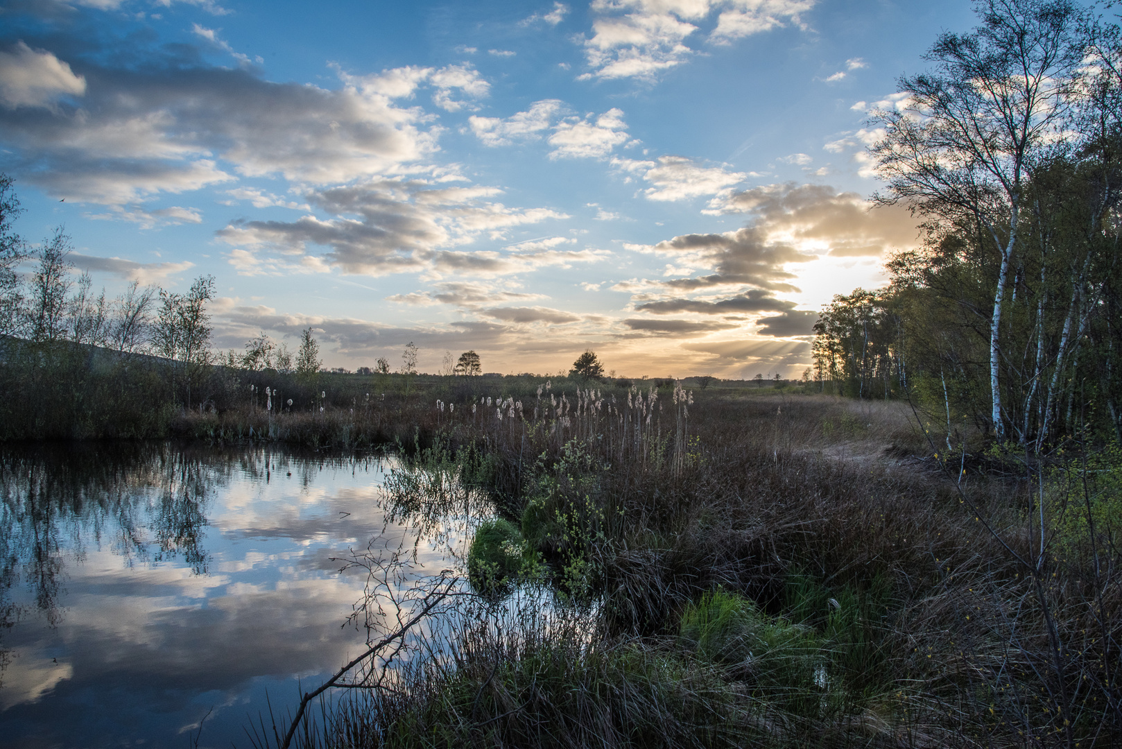 Impressionen aus dem Gehlenbecker Torfmoor