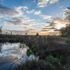 Impressionen aus dem Gehlenbecker Torfmoor