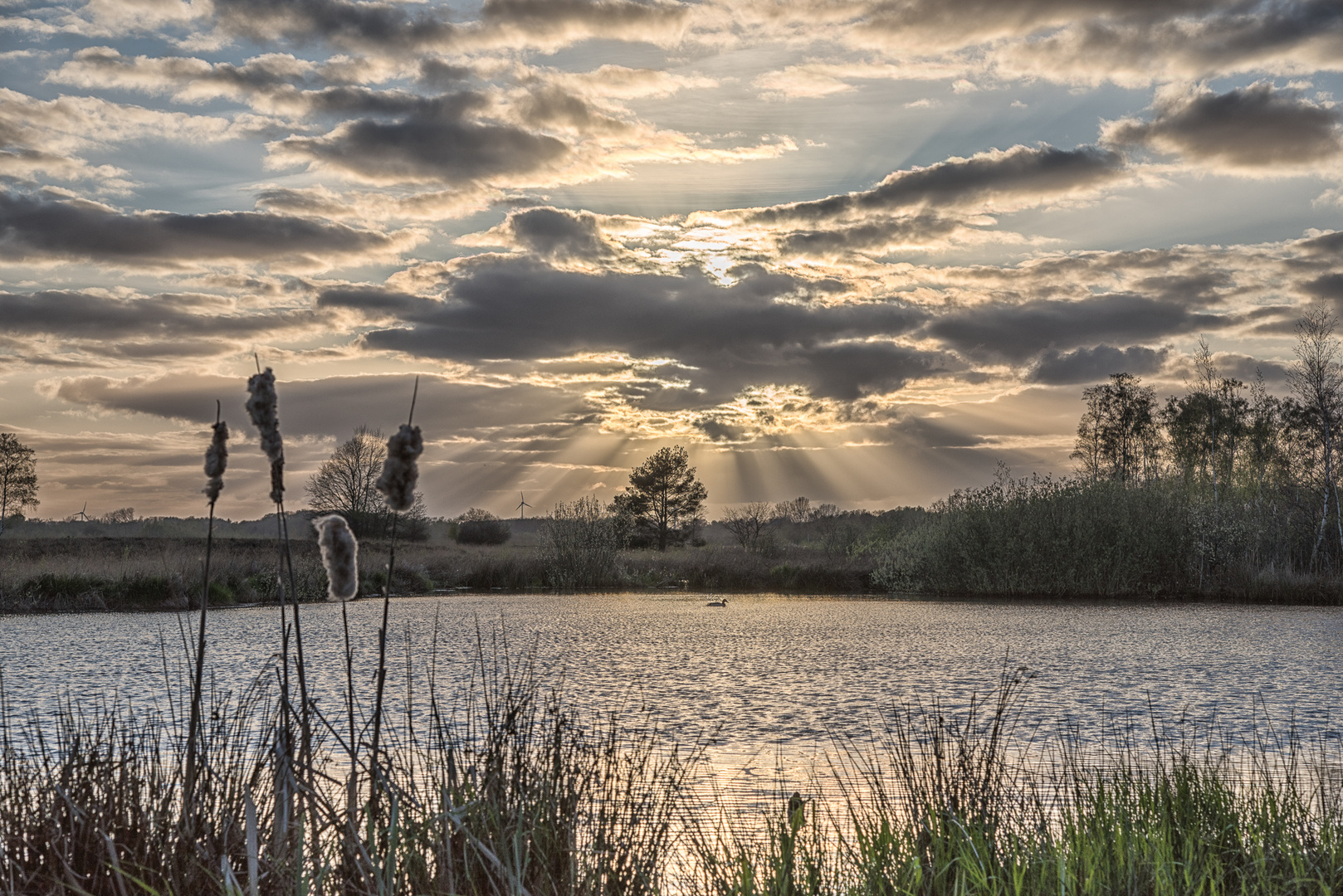 Impressionen aus dem Gehlenbecker Torfmoor