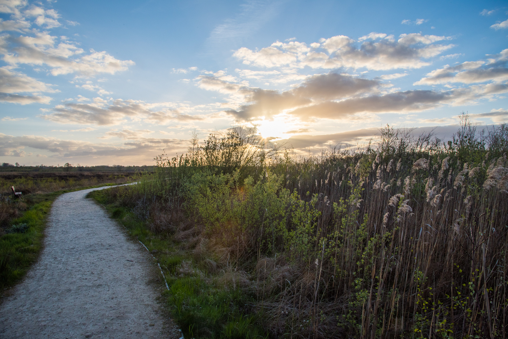 Impressionen aus dem Gehlenbecker Torfmoor