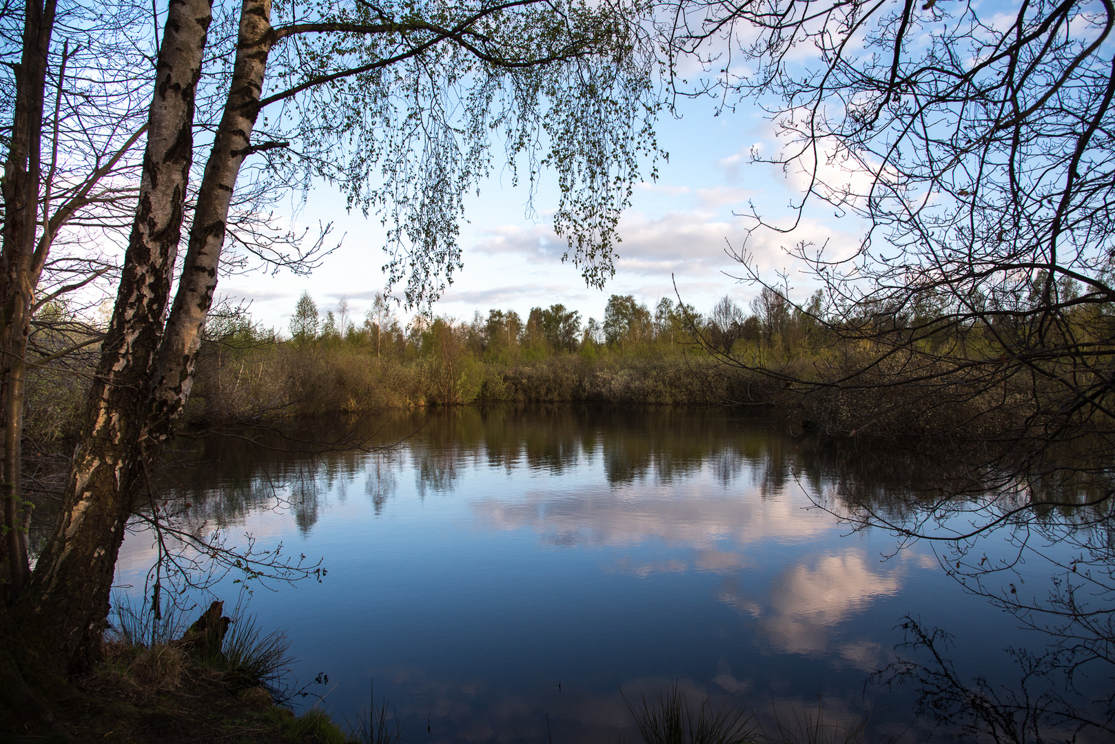 Impressionen aus dem Gehlenbecker Torfmoor