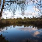 Impressionen aus dem Gehlenbecker Torfmoor