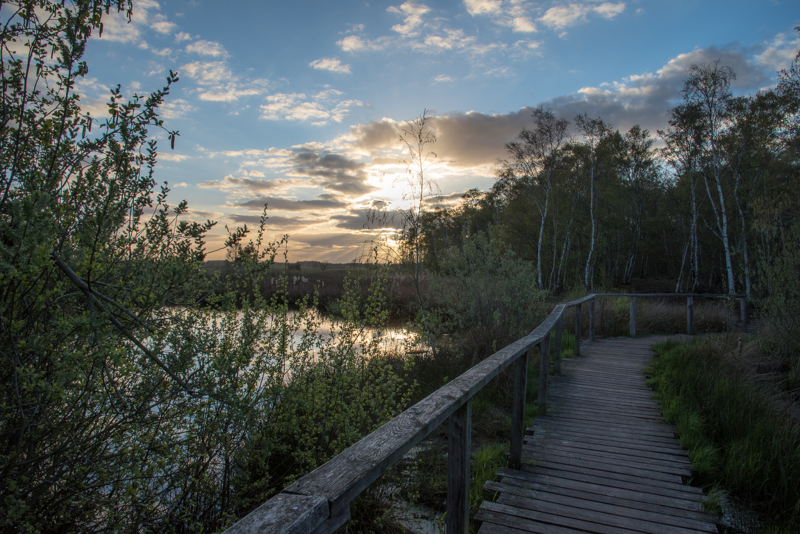 Impressionen aus dem Gehlenbecker Torfmoor