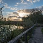 Impressionen aus dem Gehlenbecker Torfmoor