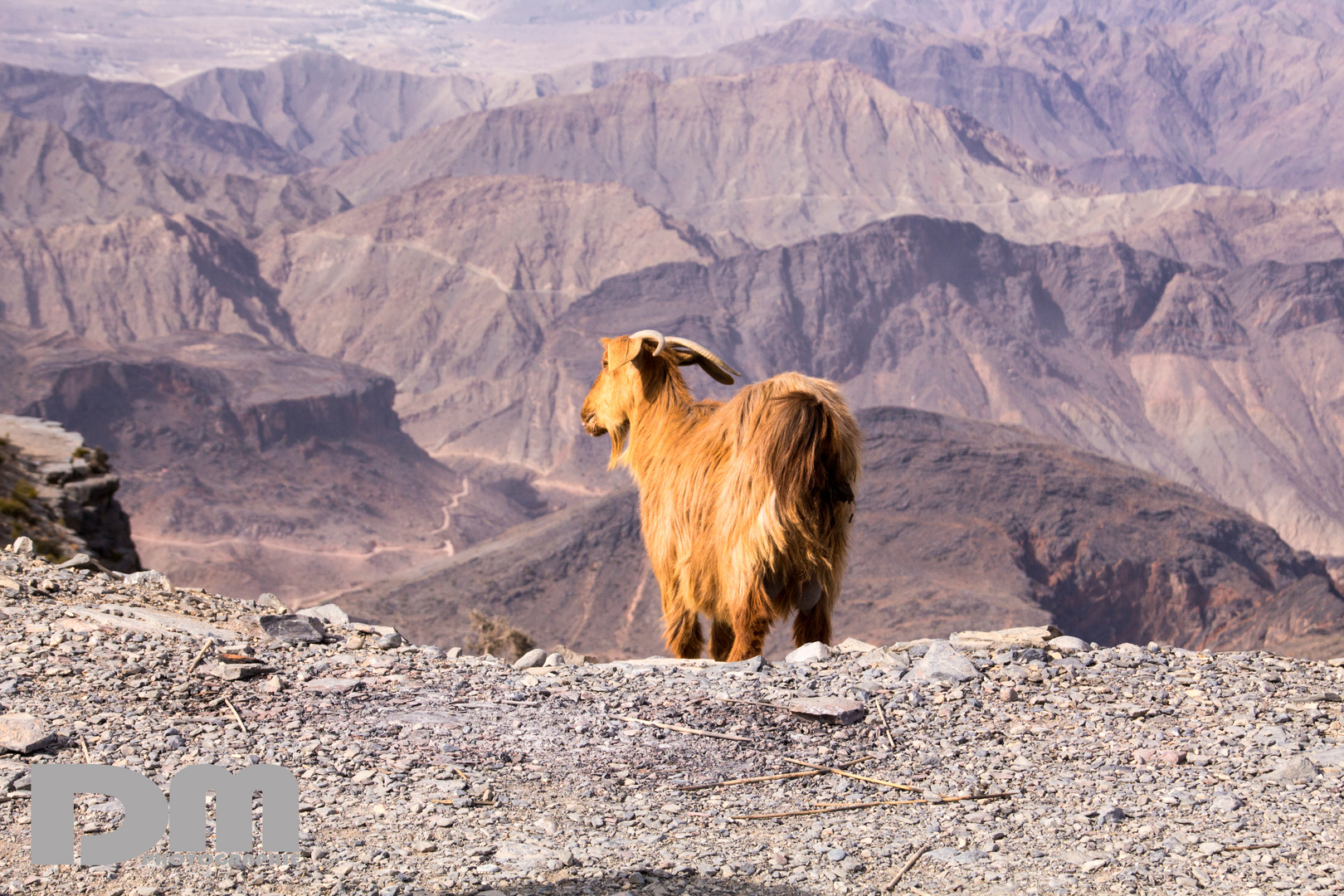 Impressionen aus dem Hadschar-Gebirge (Oman)