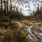 Impressionen aus dem Harz