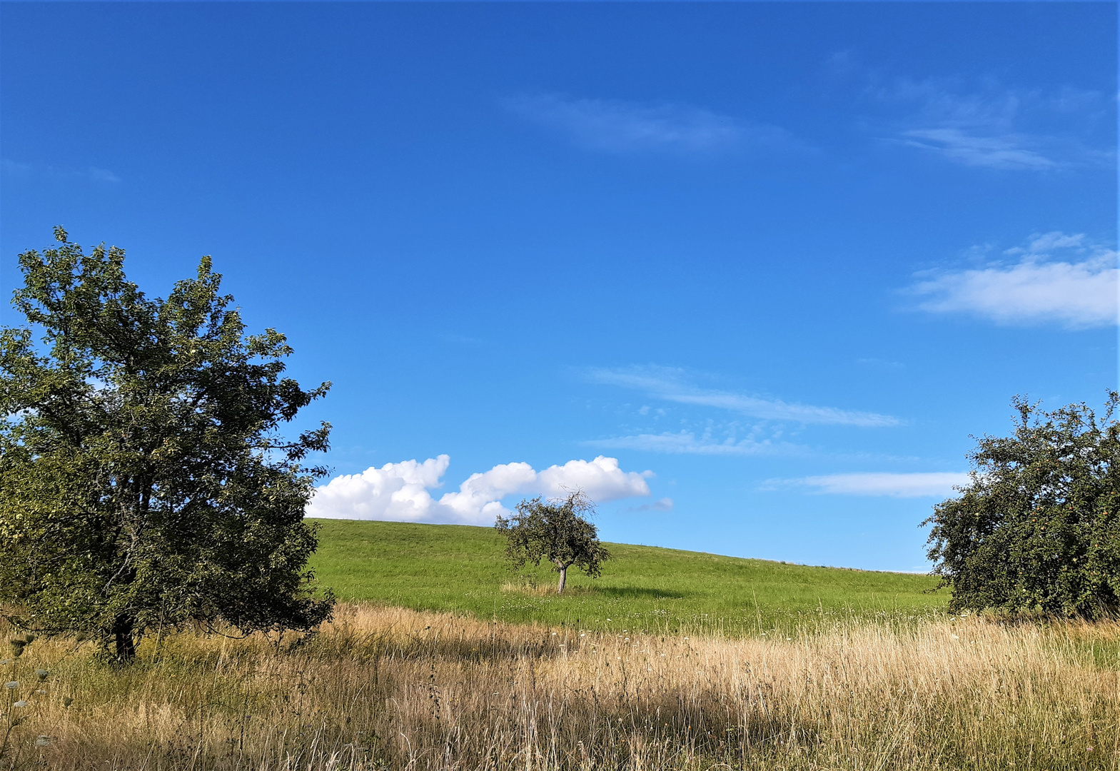 Impressionen aus dem Haßgau 4