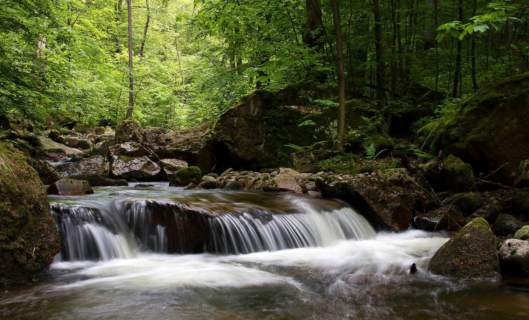 Impressionen aus dem Illsetal 