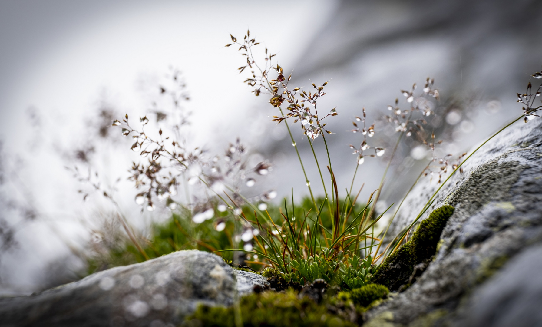 Impressionen aus dem Jamtal 