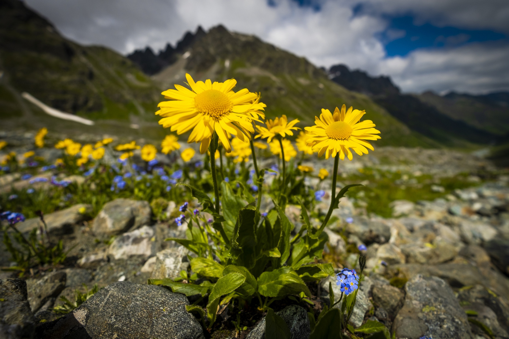 Impressionen aus dem Jamtal