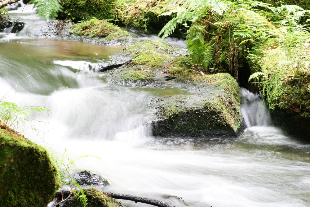 Impressionen aus dem Karlstal II