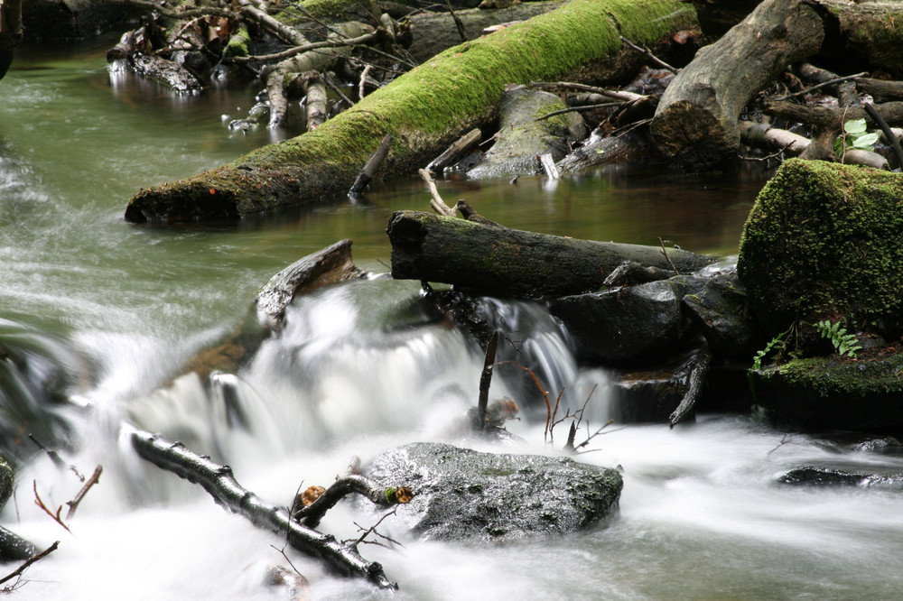 Impressionen aus dem Karlstal III