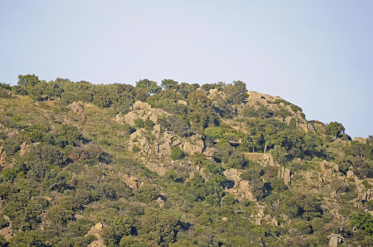 Impressionen aus dem Massif des Maures