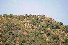 Impressionen aus dem Massif des Maures