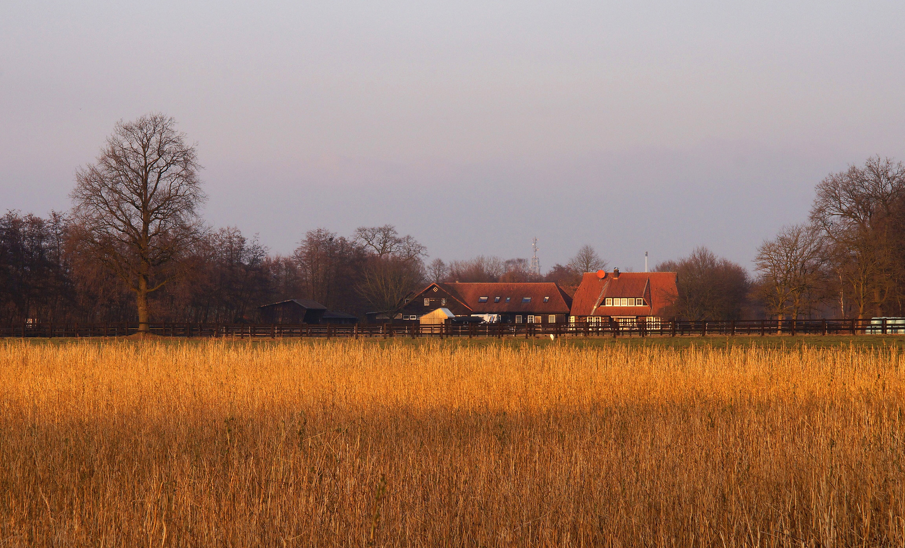 Impressionen aus dem Münsterland,