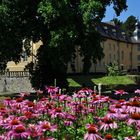 Impressionen aus dem Schlossgarten von Schloss Dyck....... 2