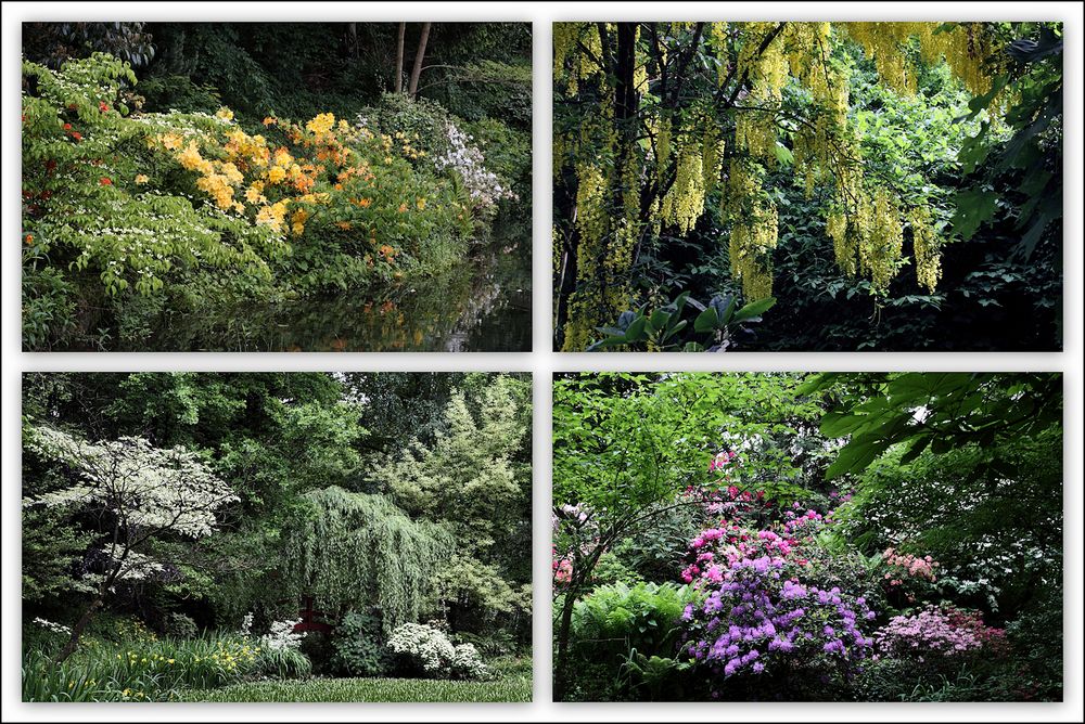 Impressionen aus dem Schlosspark Dennenlohe