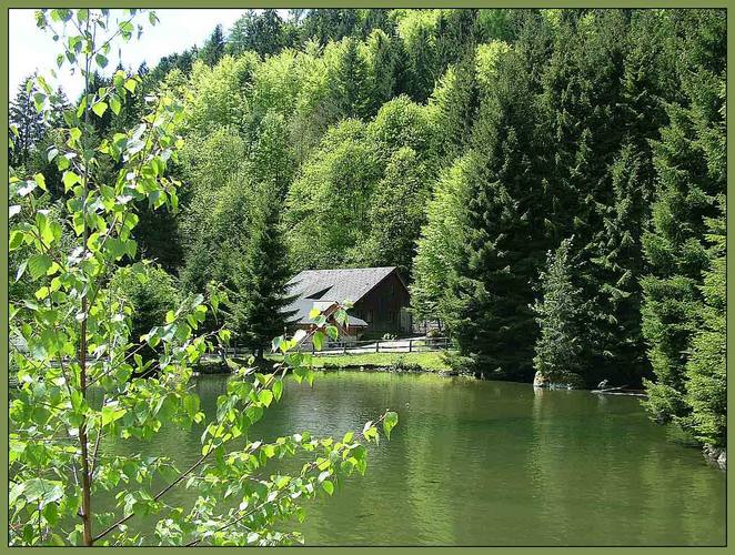 Impressionen aus dem Schwarzwald 2