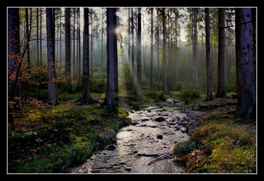 Impressionen aus dem Silberbachtal -1-