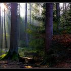 Impressionen aus dem Silberbachtal -2-