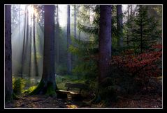 Impressionen aus dem Silberbachtal -2-