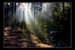 Impressionen aus dem Silberbachtal -5-