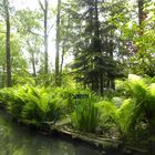 Impressionen aus dem Spreewald