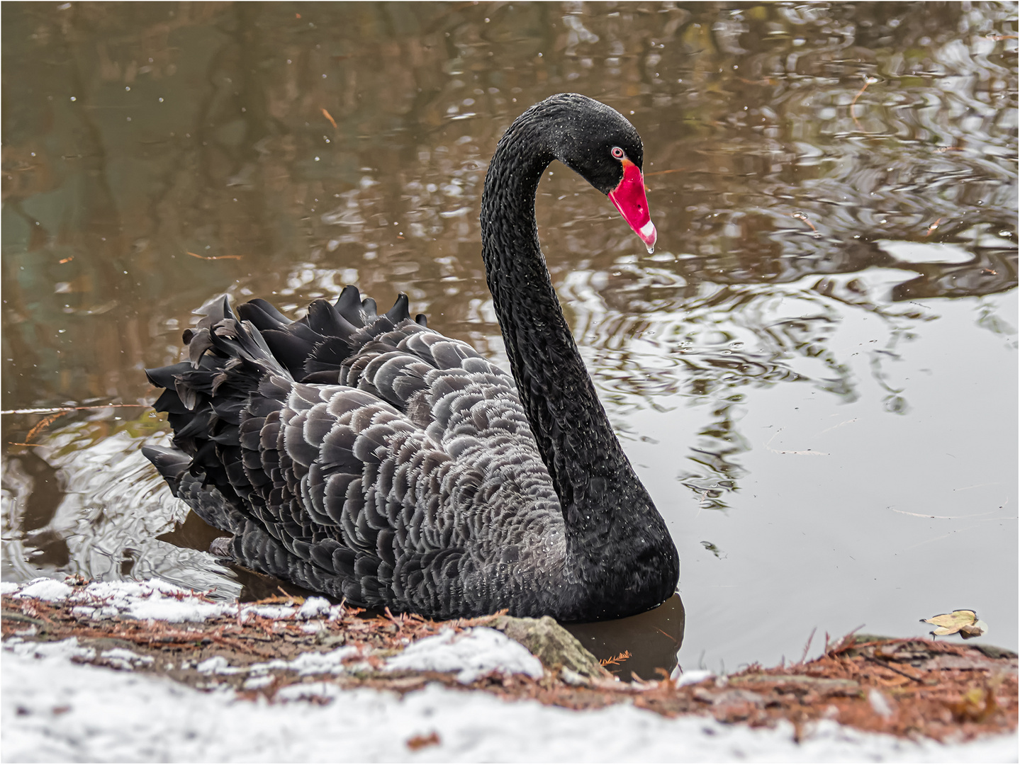 Impressionen aus dem Tierpark.....