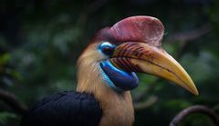 Impressionen aus dem Vogelpark in Walsrode