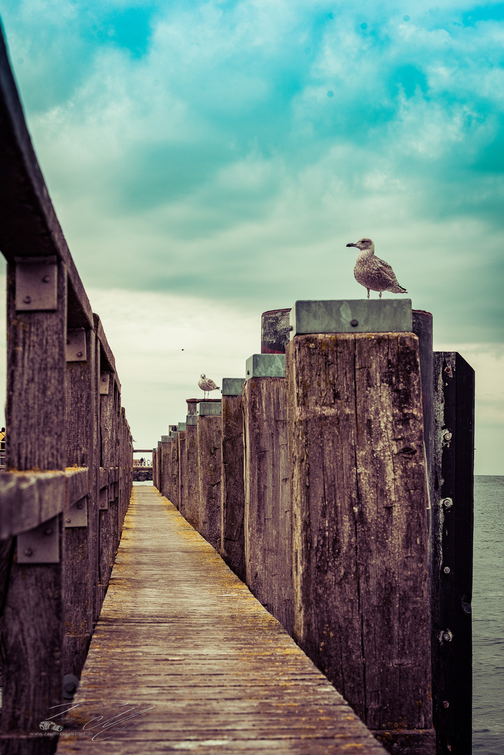 Impressionen aus dem Warnemünder Hafen