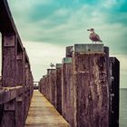 Impressionen aus dem Warnemünder Hafen