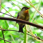 Impressionen aus dem Weltvogelpark Walsrode 5