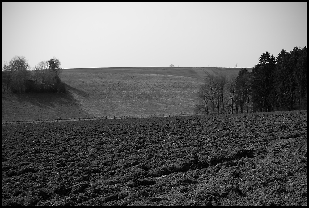 Impressionen aus dem Westerwald 03