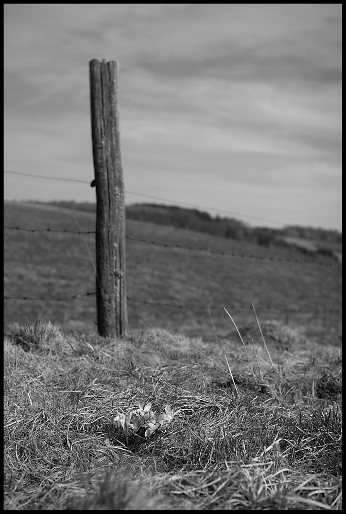 Impressionen aus dem Westerwald 06