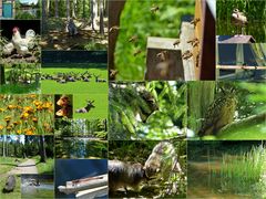 Impressionen aus dem Wildpark Vosswinkel