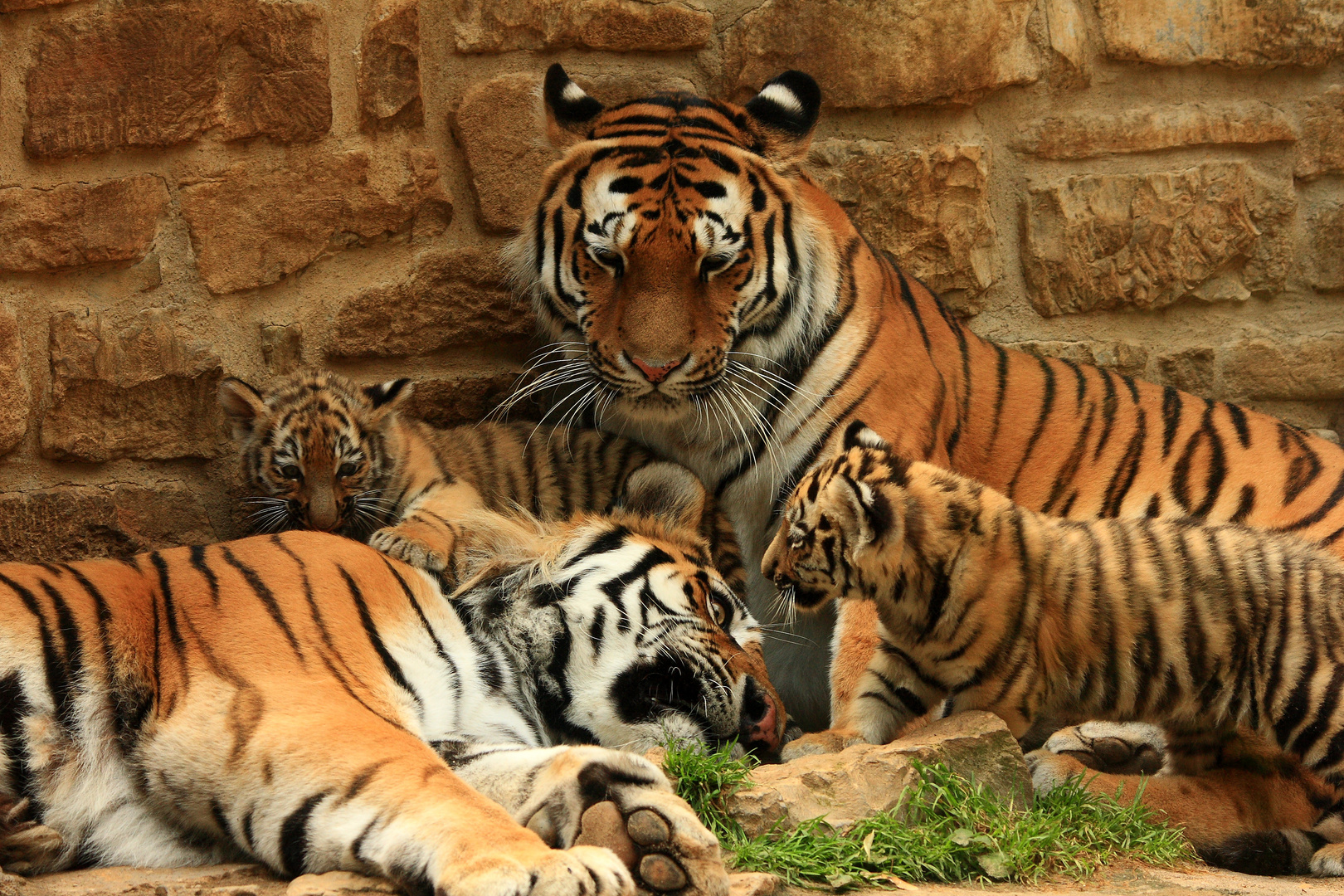 Impressionen aus dem Zoo Aschersleben 1